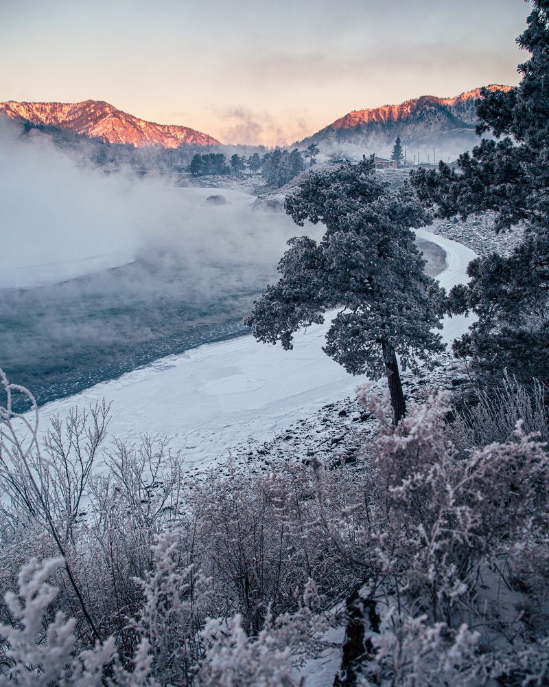 Фотография автора Михаил Трищенков