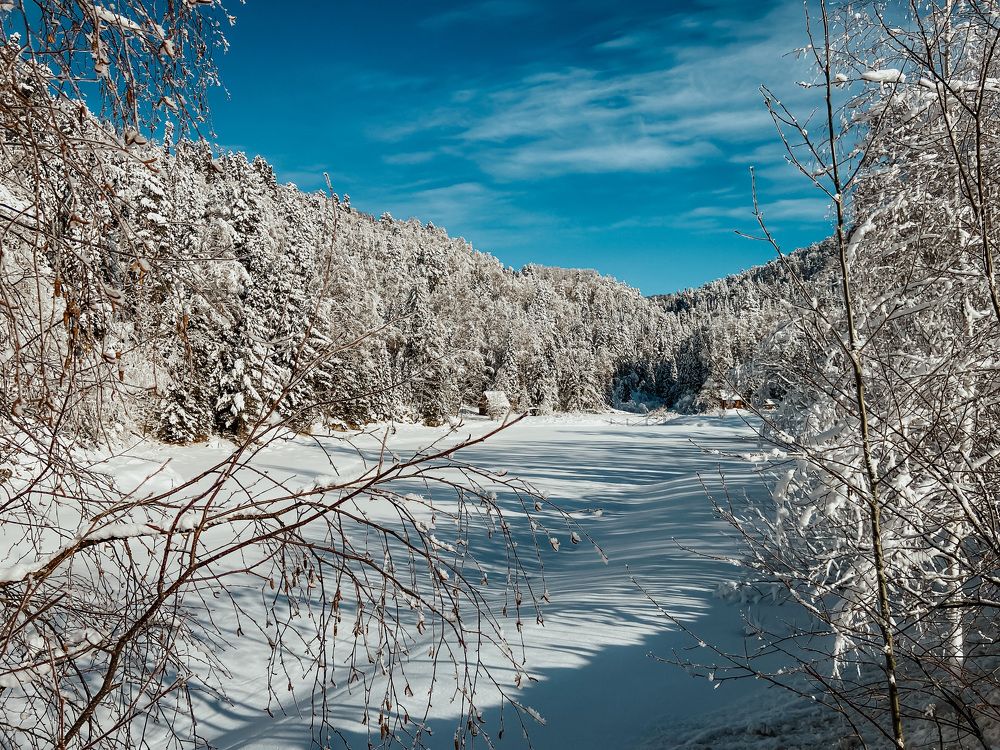 Photograph by Ольга Кашлева