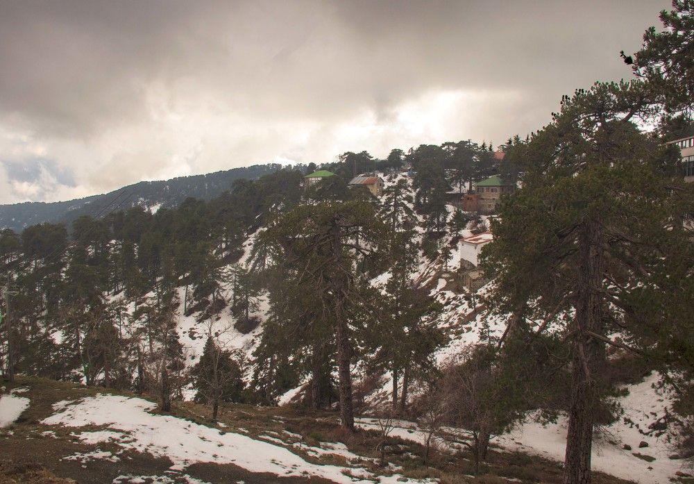 Photograph by Niyazi Nizam