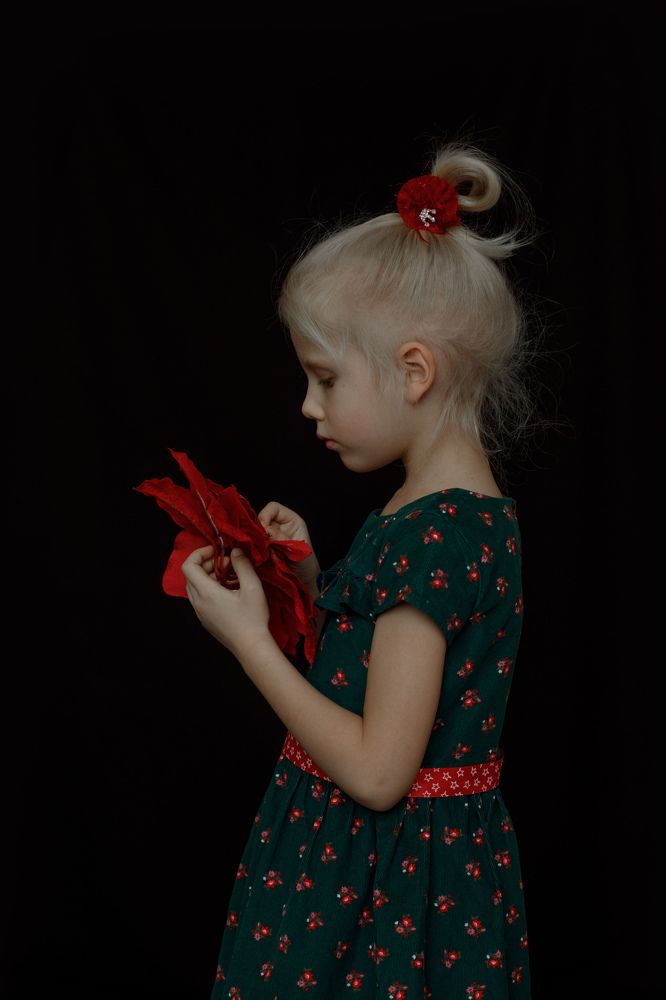 София и рождественская звезда