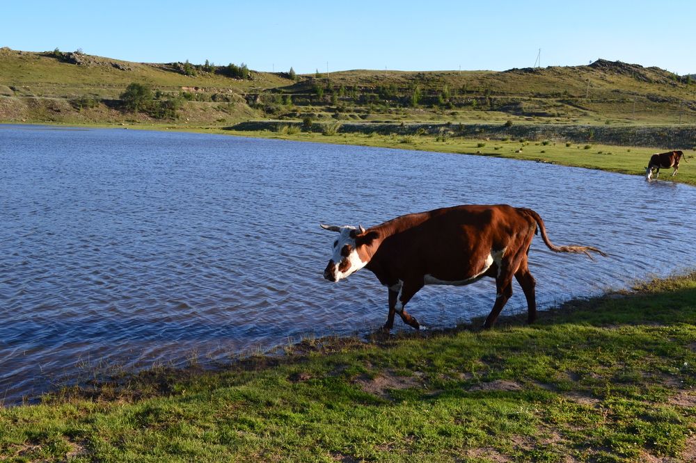 Фотография автора Андрей Хлопонин