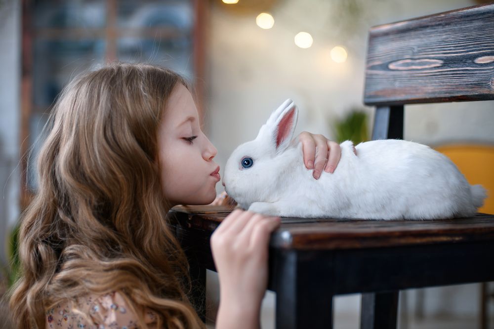 Photograph by Первенцева Елена