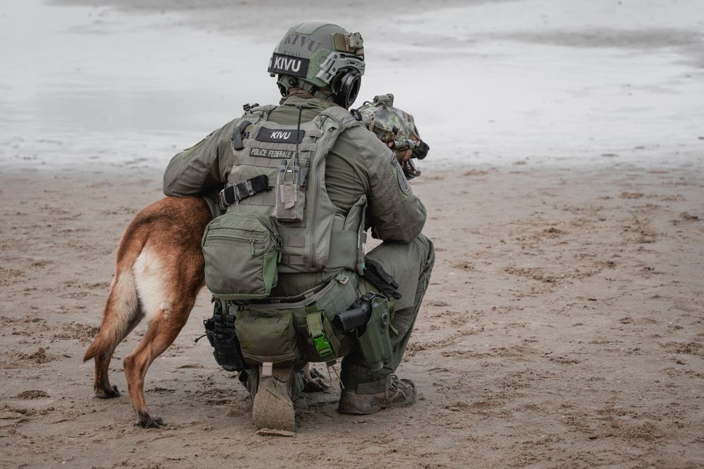 Фотография автора Linda Celis