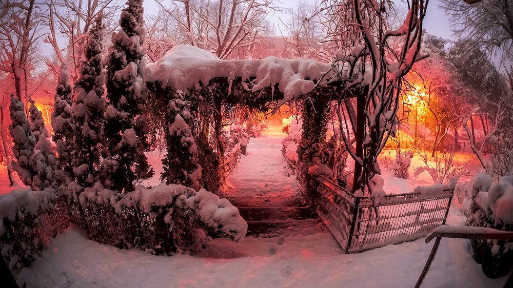 Photograph by Dan Udrea