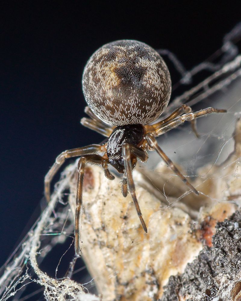 Photograph by Роман