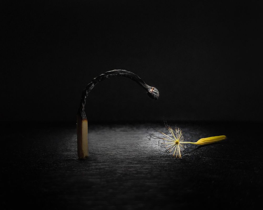 Photograph by Татьяна Логвинчук