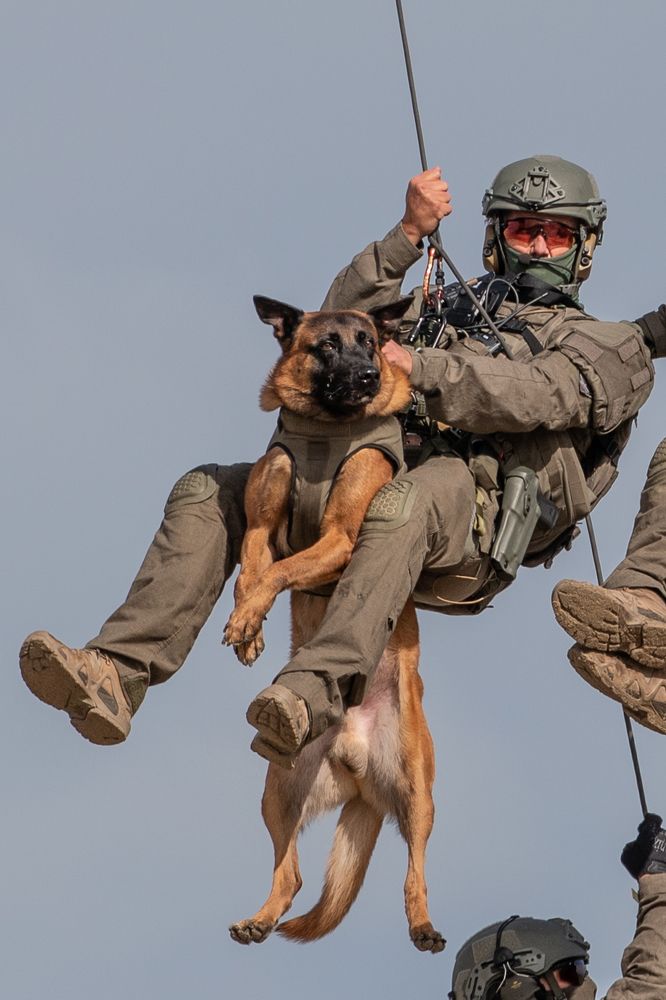 Фотография автора Linda Celis