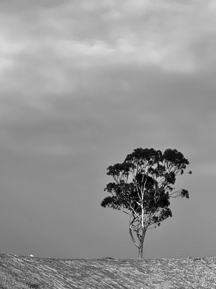 Photograph by Svetlana Garifullina