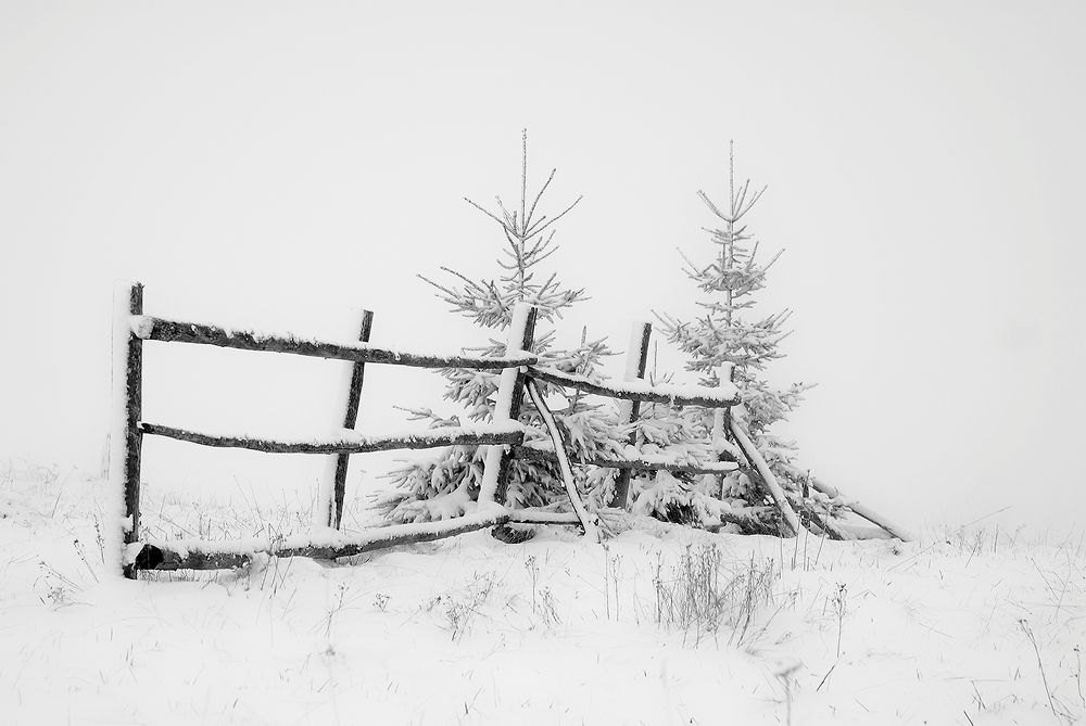 Photograph by Dan Udrea