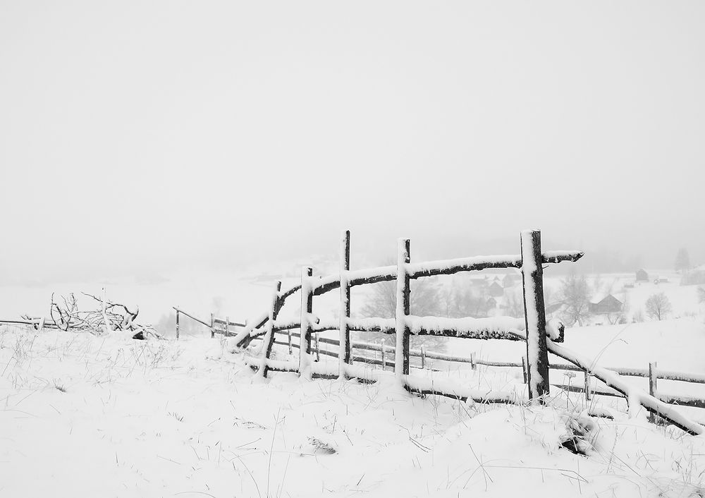 Photograph by Dan Udrea