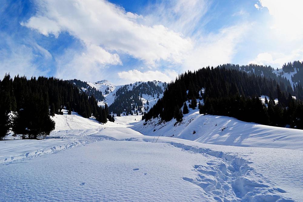 Photograph by Виктор Репников