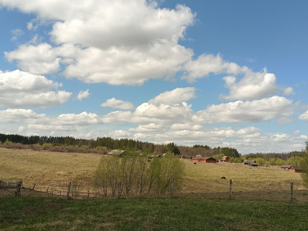 Photograph by Наталия Степанова