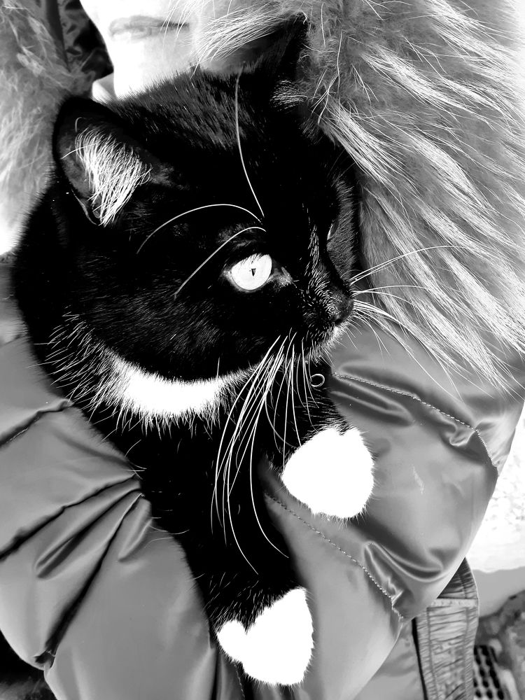 Фотография автора Ирина Лукьянчик