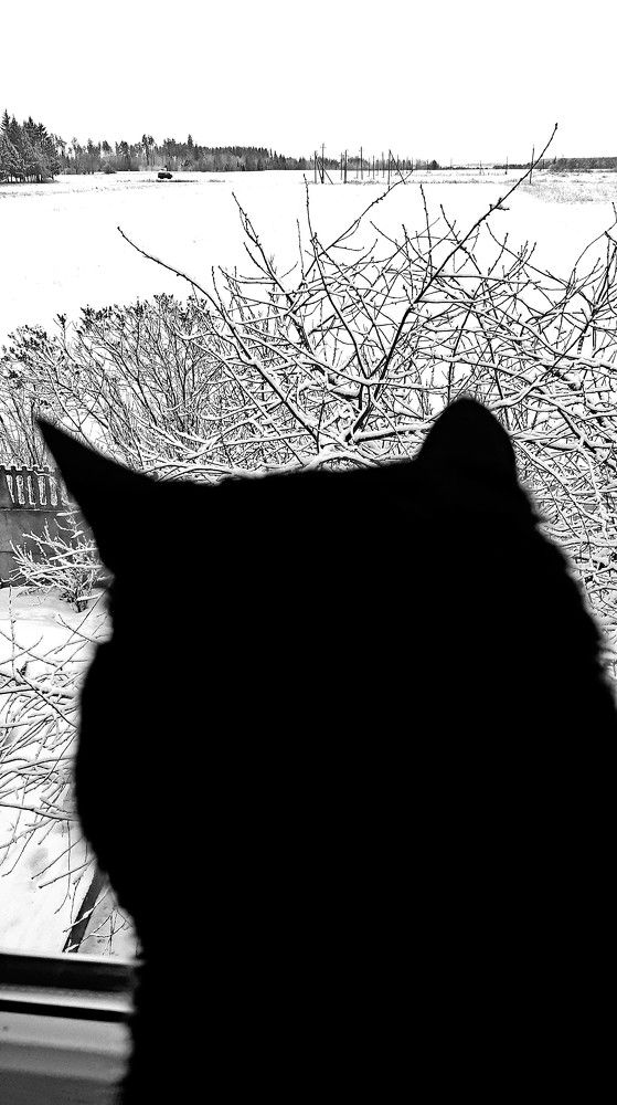 Фотография автора Ирина Лукьянчик