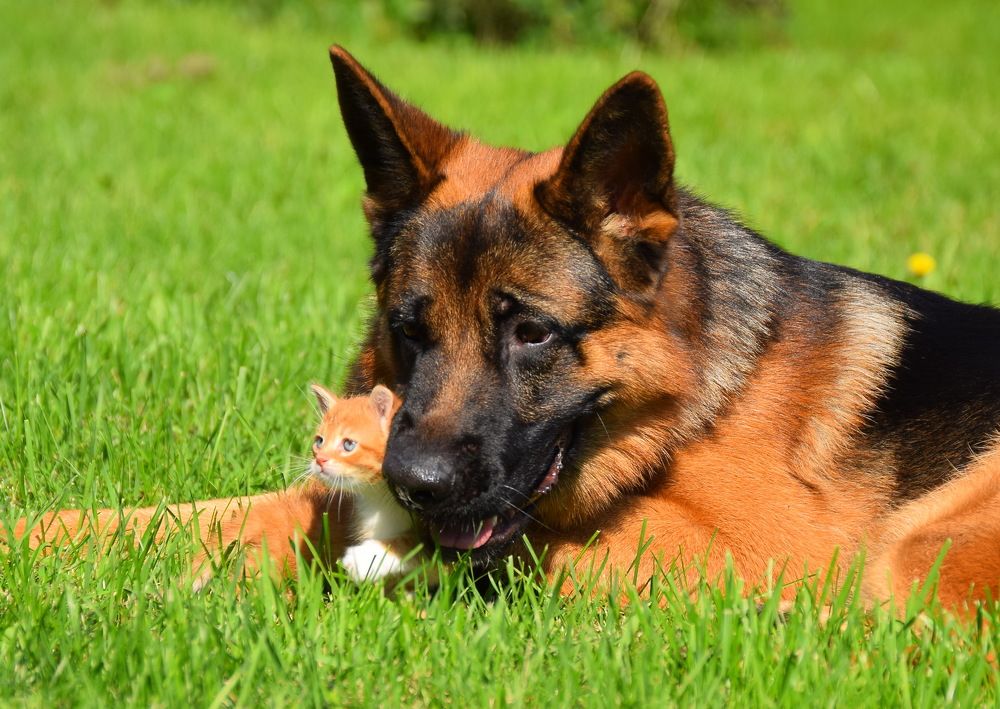 Photograph by Милана Бабченко