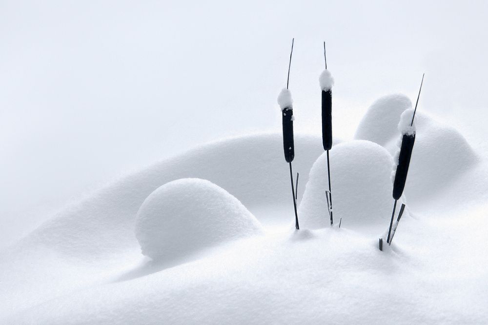 Photograph by Ольга Заболотская