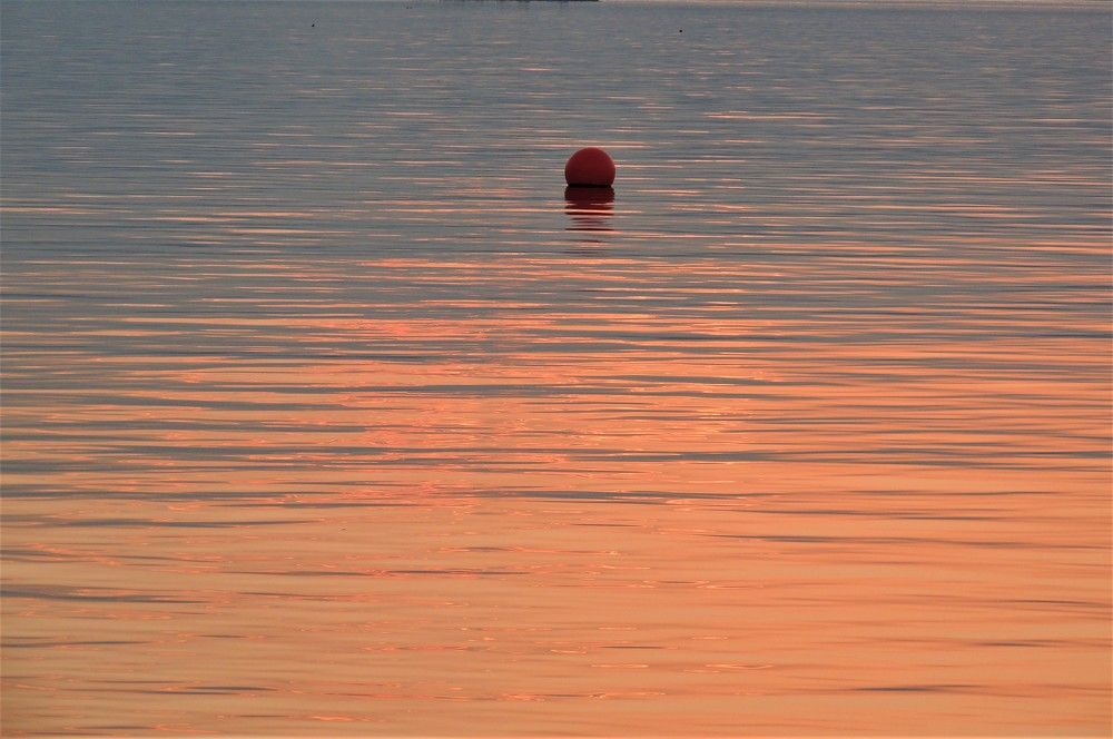 Photograph by Ирина Фирсова