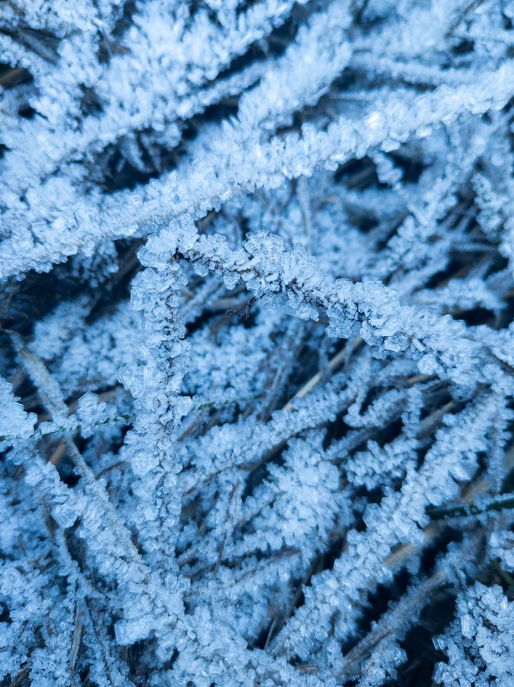 Фотография автора Тамара Нижельская