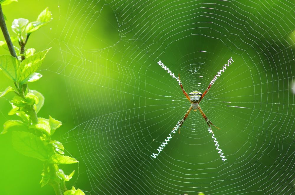 Фотография автора Darshan M. Trivedi