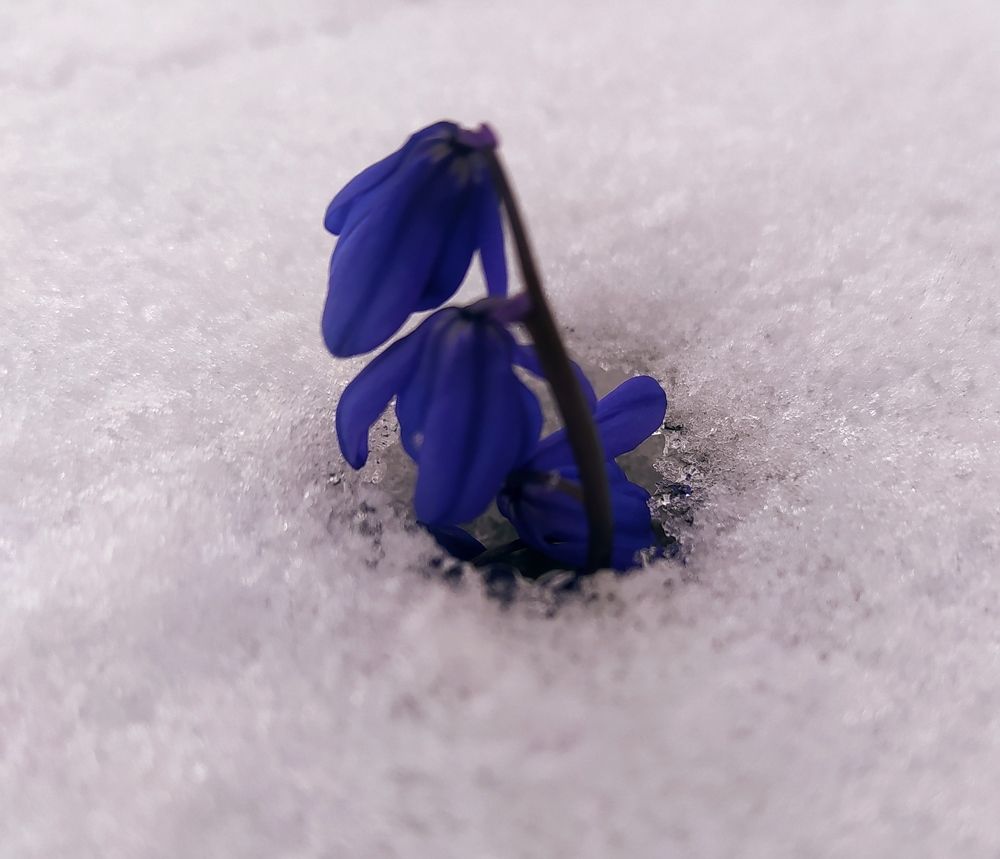 Photograph by Dina Kerimova