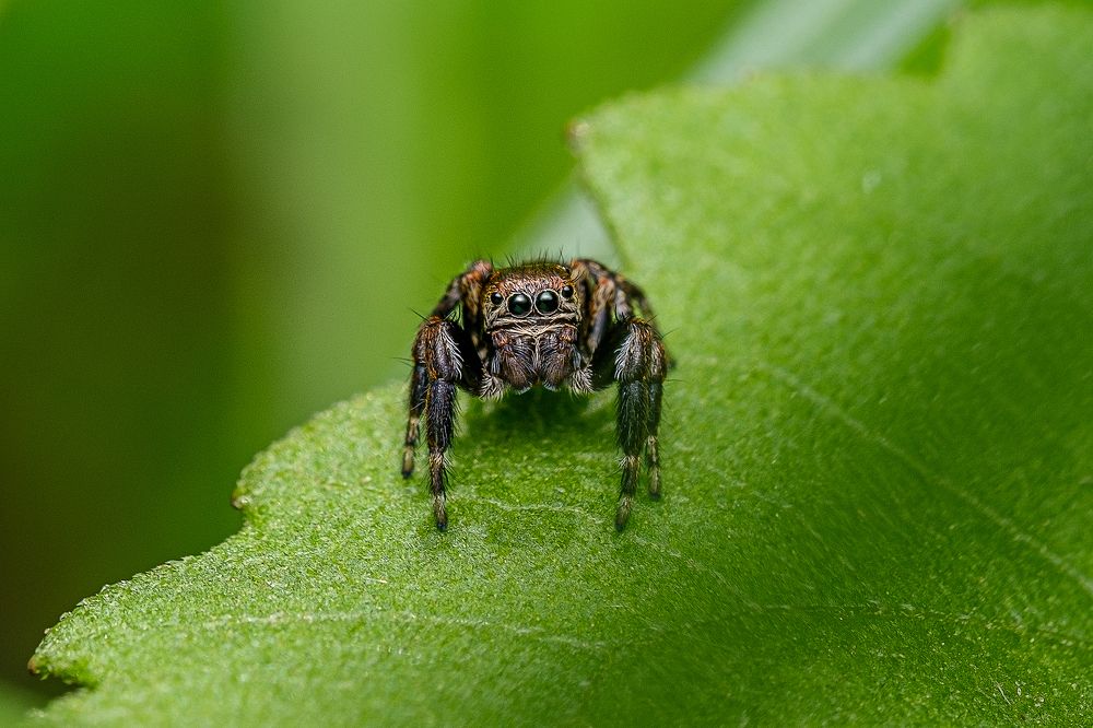 Photograph by Сергей Алтуфьев