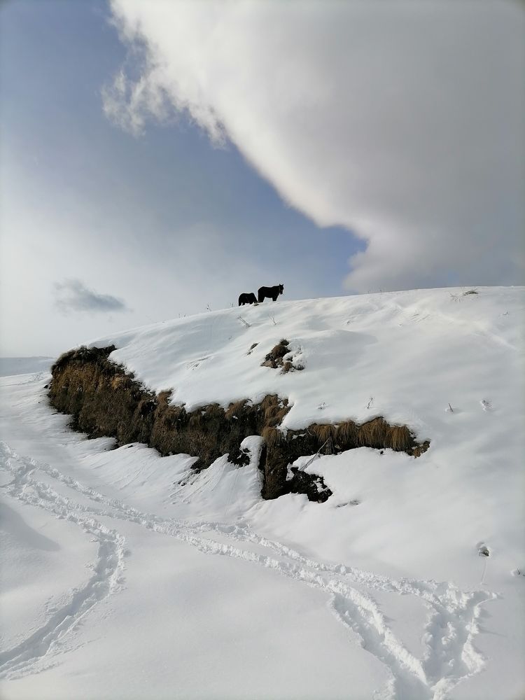 Фотография автора Оксана Белозерская