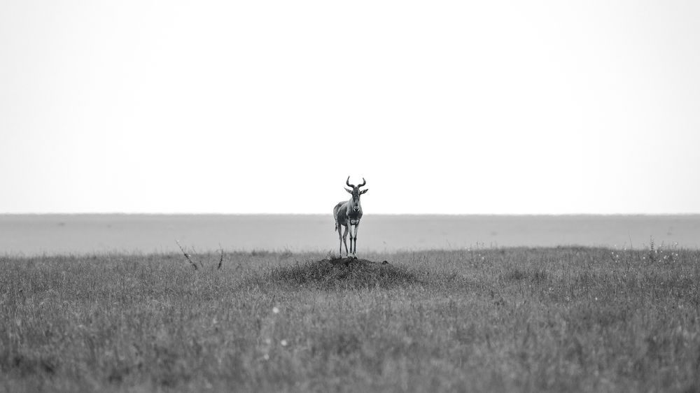 Photograph by Artem Khazov