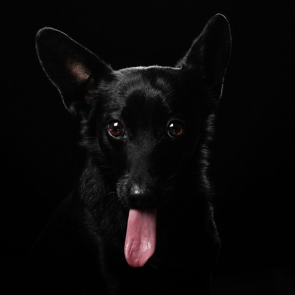 Photograph by Пирожков Александр