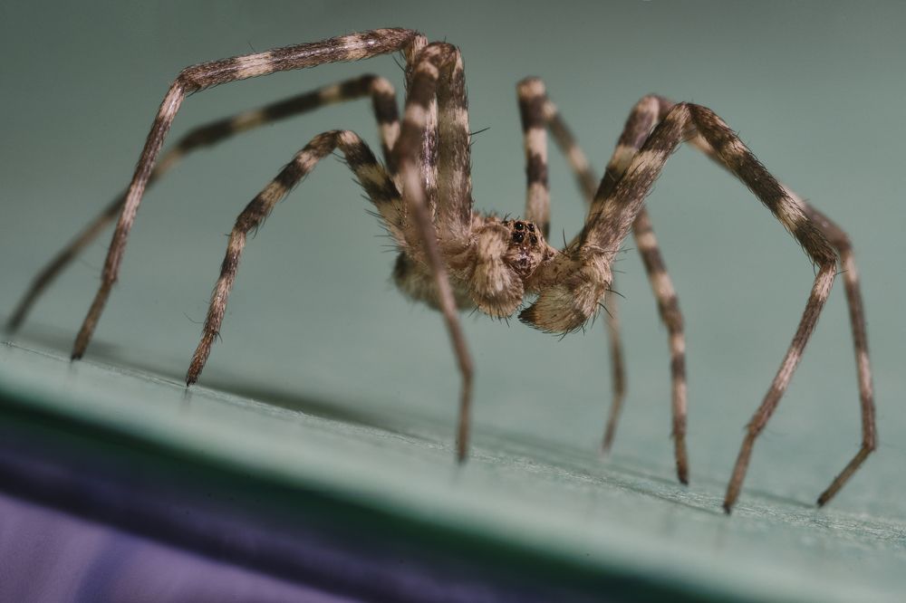 Photograph by Сергей Алтуфьев