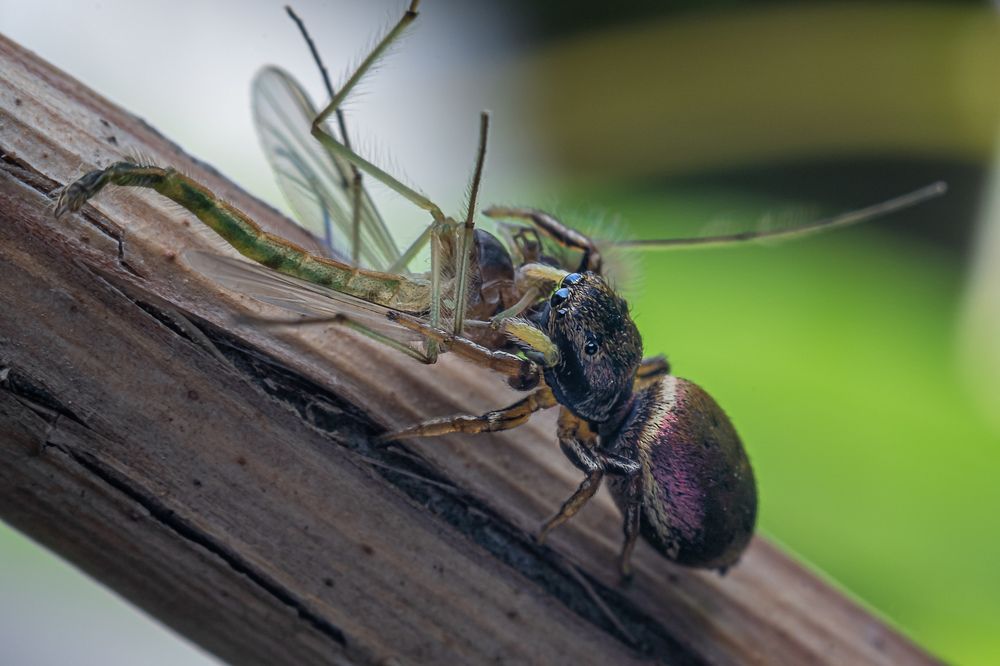 Photograph by Сергей Алтуфьев