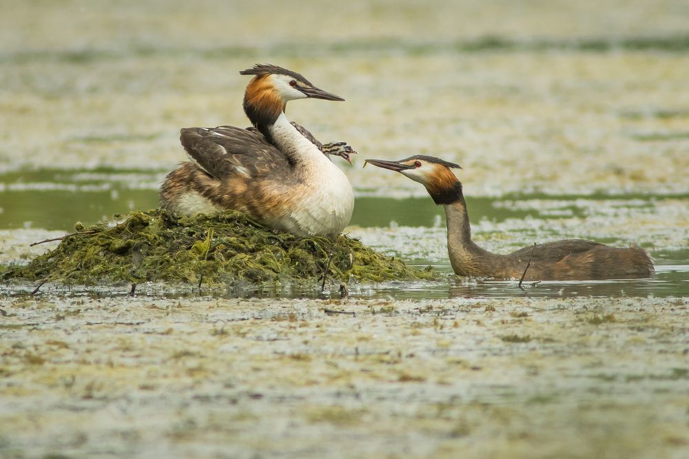 Фотография автора Суслов Дмитрий