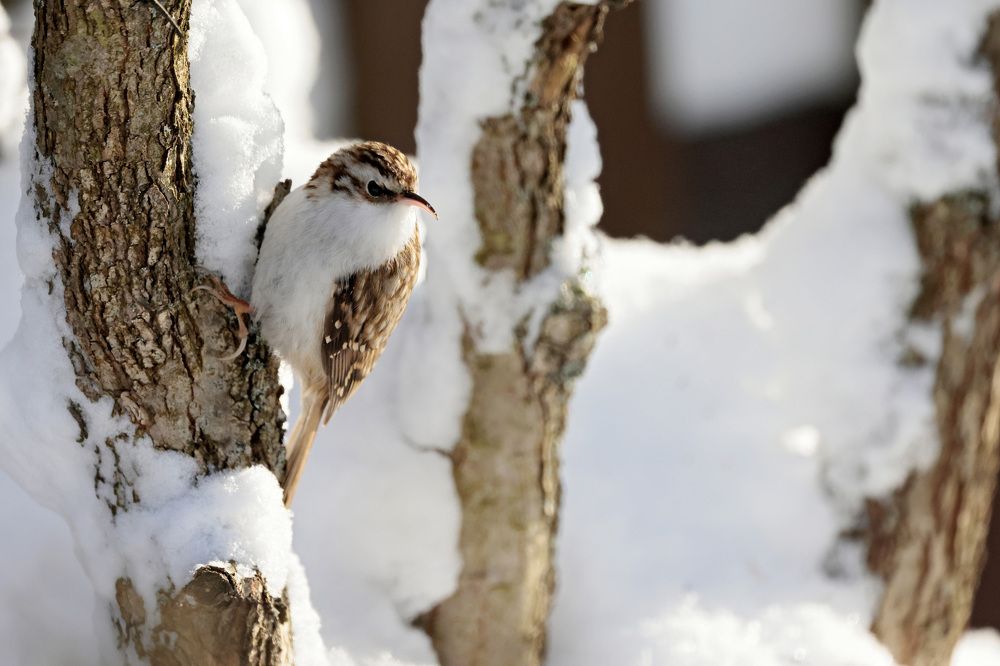 Фотография автора Попов Алексей