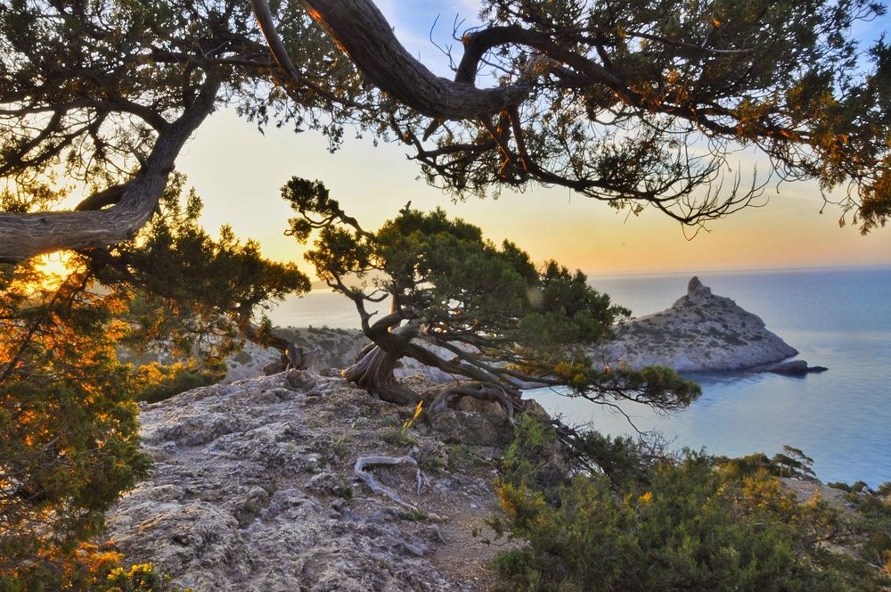 Photograph by Сергей Жигульский