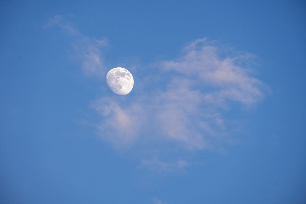 Photograph by Михаил Серебренников