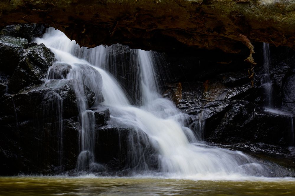Photograph by Prabu Devan