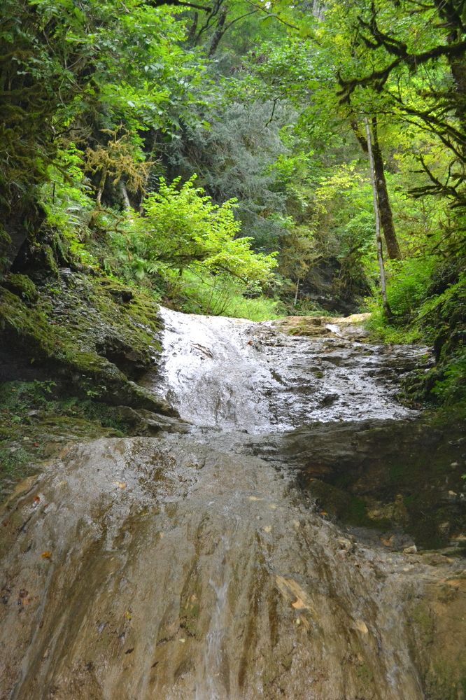 Фотография автора Андрей Хлопонин