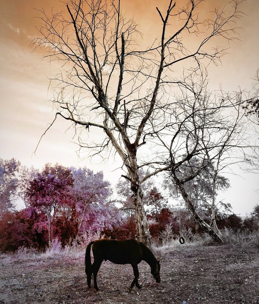 Photograph by Николай Поляков