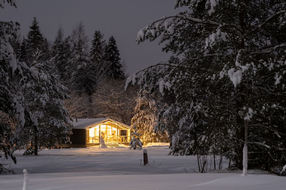 Уютный дом в зимнем лесу