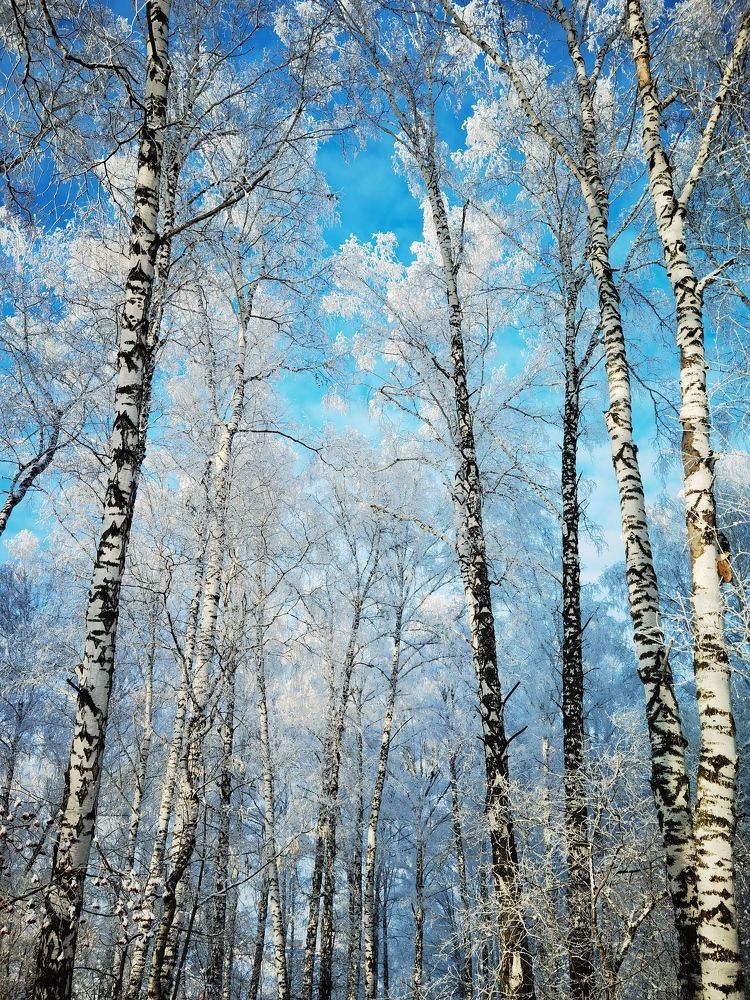 Красота природы