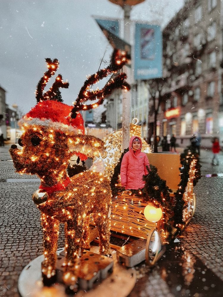 Фотография автора Виктория Мешкова