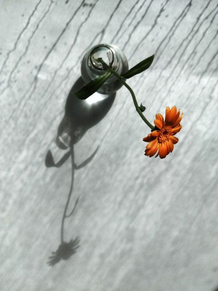 Photograph by Ольга Мокрова