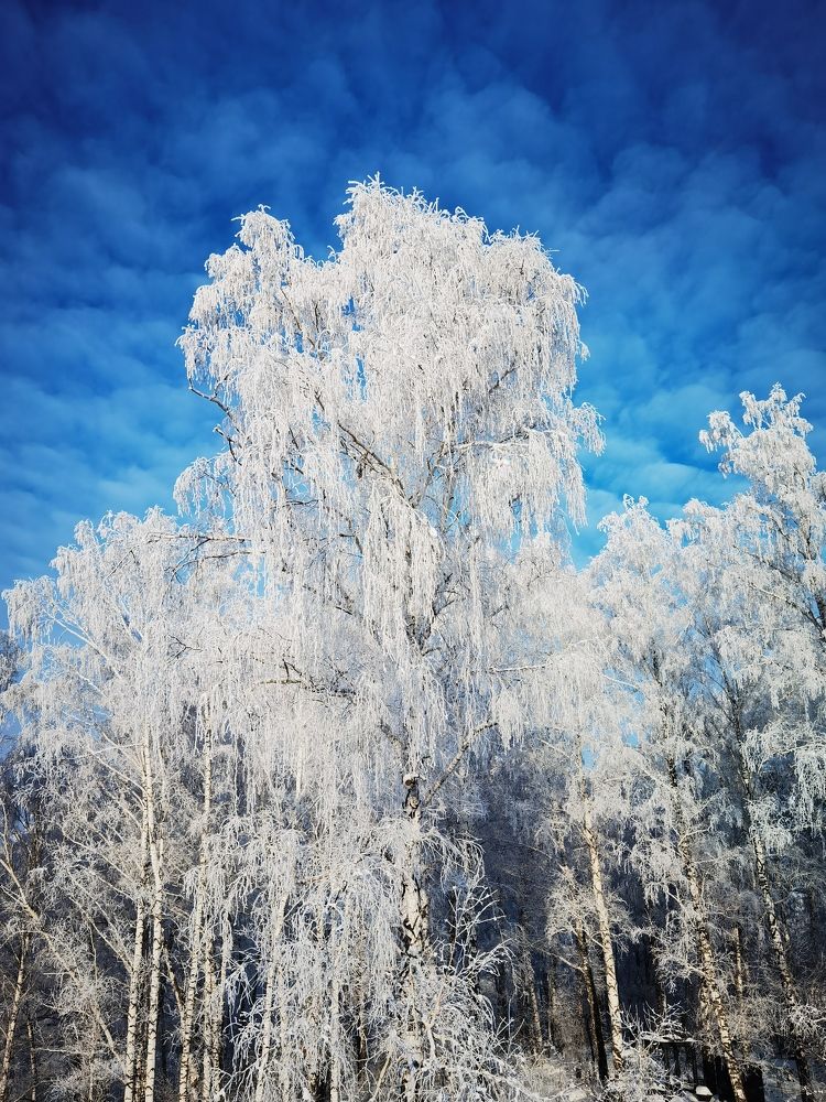 Синее на белом