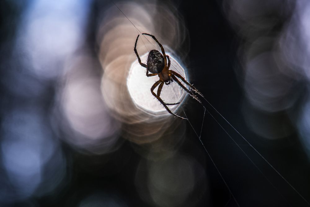 Photograph by Владимир Штыриков