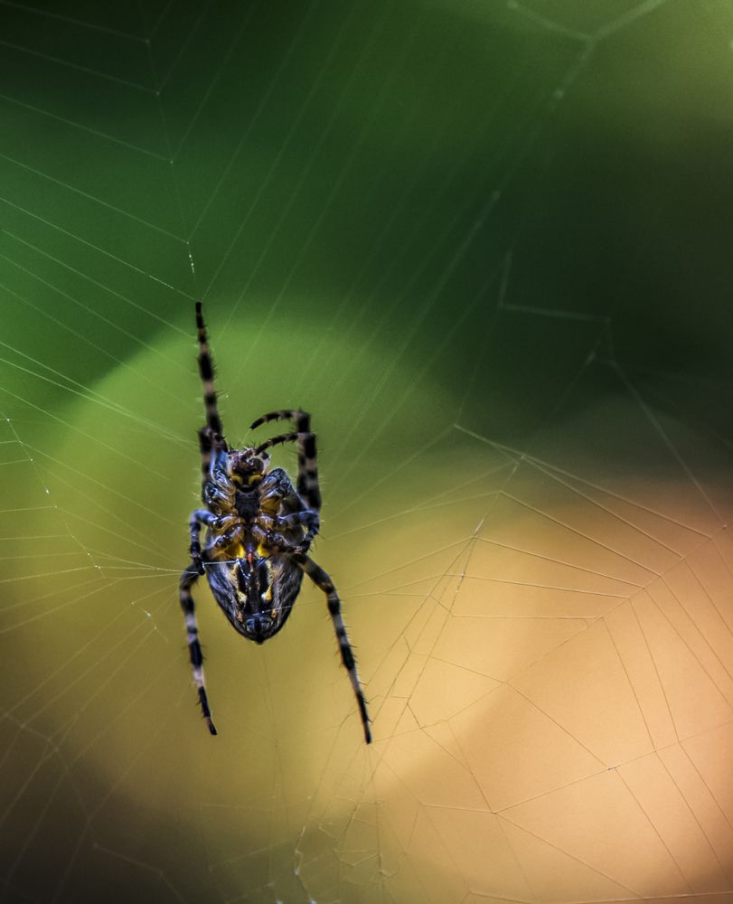 Photograph by Владимир Штыриков