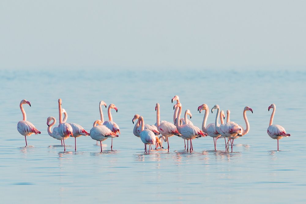 Фотография автора Valery