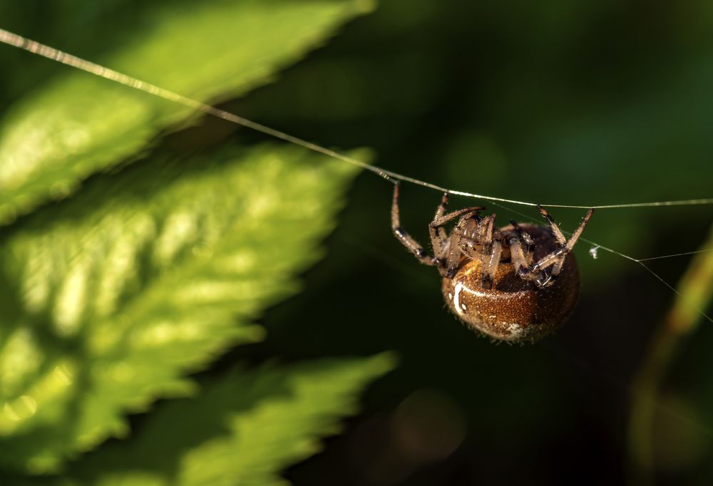 Photograph by Владимир Штыриков