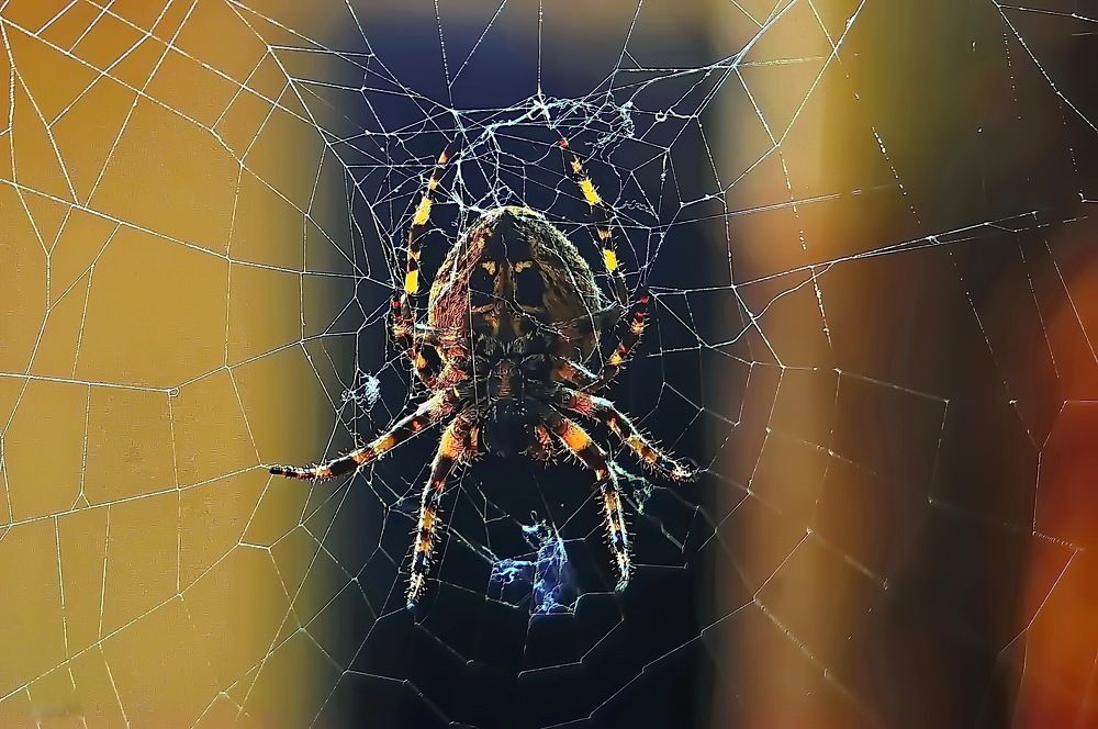 Photograph by Анатолий Святой