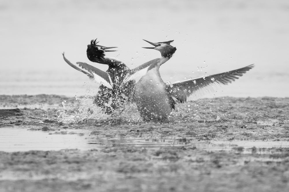Фотография автора Суслов Дмитрий