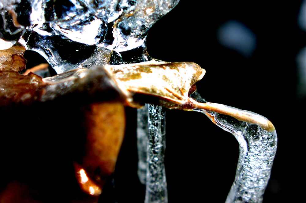 Photograph by Mihalis Konstadinidis