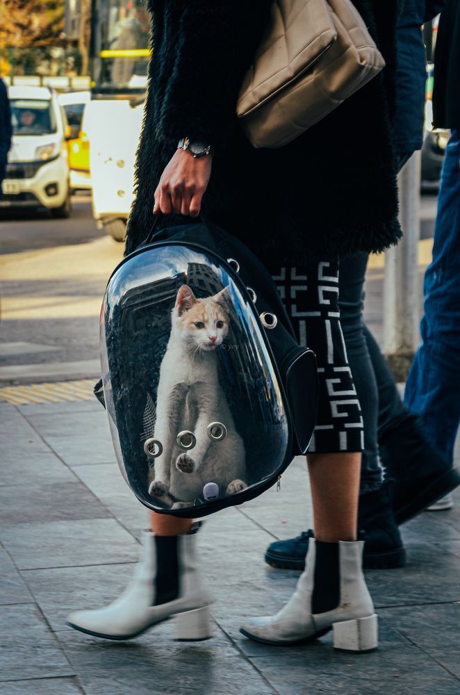 Photograph by Yunus Emre YILMAZ